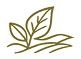 Vida de campo auténtica